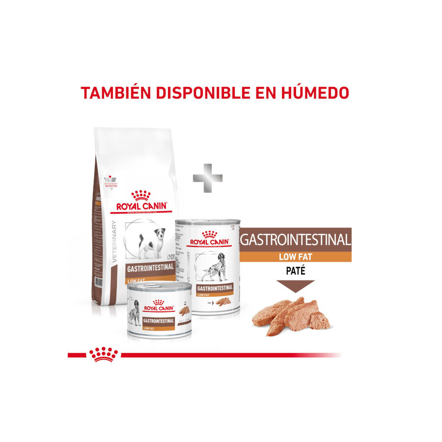 8 kg Royal Canin GastroIntestinal Low Fat pienso para perros peque&ntilde;os, , large indicador imagen numero 9