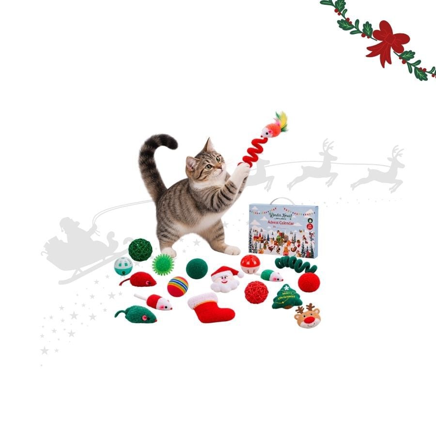 Wonder Christmas Calendario Adviento Juguete para gatos, , large indicador imagen numero 1