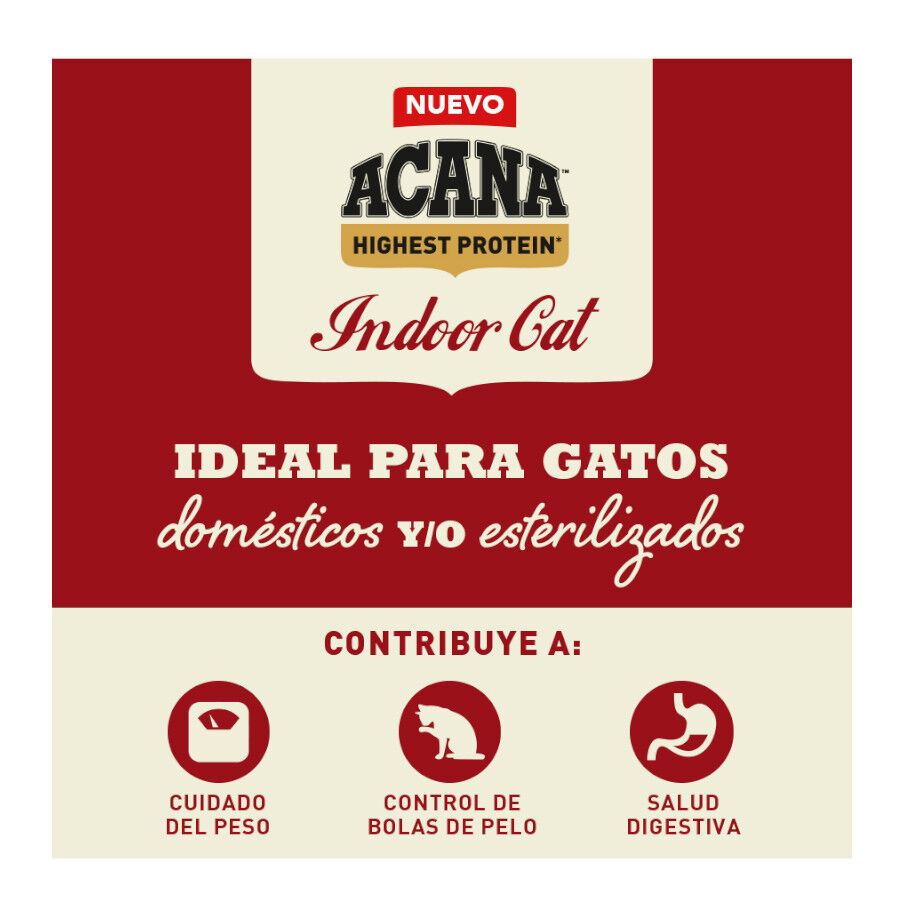 4.5 kg Acana Highest Protein Indoor Pollo Salm&oacute;n y Trucha Pienso para gatos, , large indicador imagen numero 2