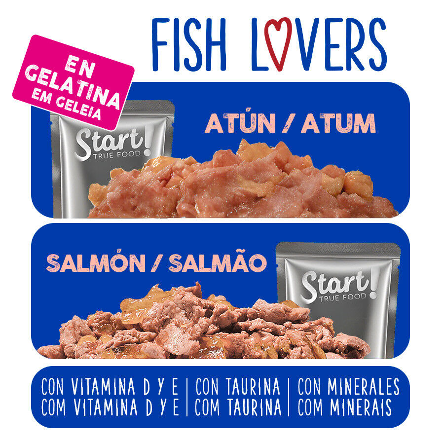 12 latas x 100 g Start Cat Carne con Pollo y Pescado en Gelatina sobre para gatos, , large Imagen numero 4