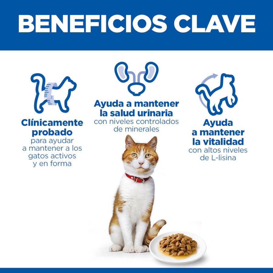 85 g Hill's Science Plan Sterilised Young Adult Pavo Sobre en Salsa para gatos, , large indicador imagen numero 5