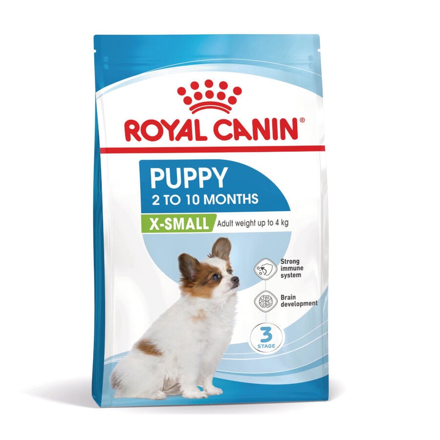 3 kg Royal Canin X-Small Puppy pienso para perros, , large Imagen numero 1
