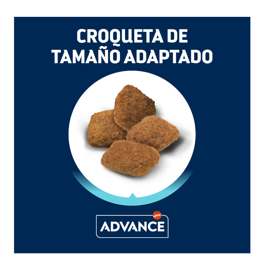 12 kg Advance Medium Senior +7 Active Defense Pollo y Arroz pienso para perros, , large indicador imagen numero 3