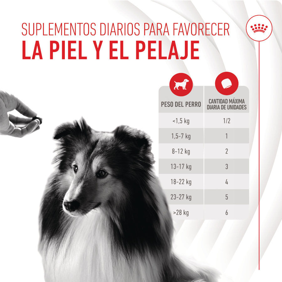 240 g Royal Canin Skin & Coat Chews Adult Suplemento nutricional para perros, , large indicador imagen numero 7