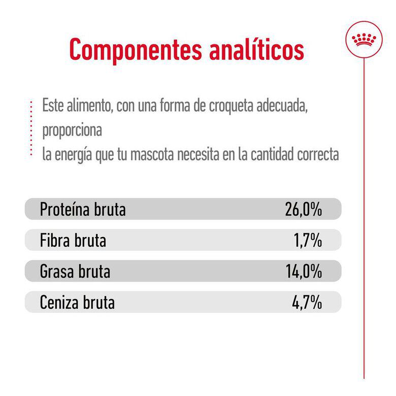 15 kg Royal Canin Medium 10+ Ageing pienso para perros&nbsp;senior, , large indicador imagen numero 10