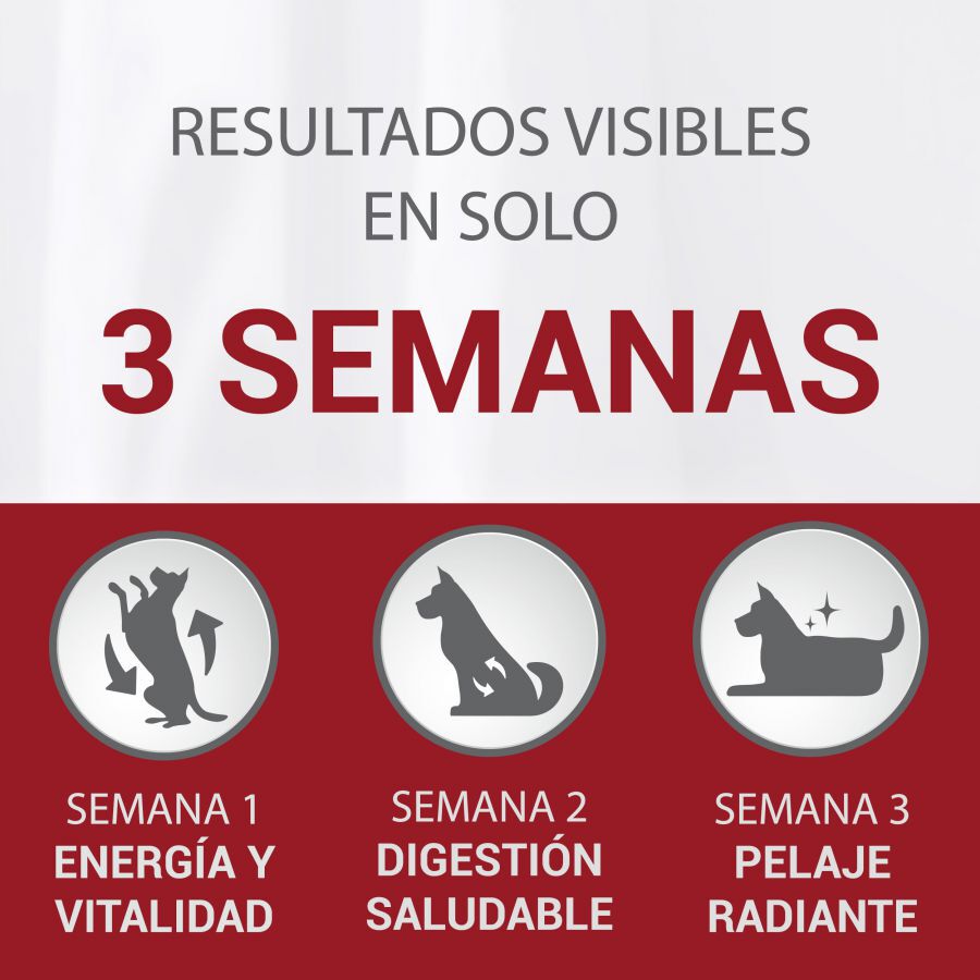 1.5 kg Purina One Adult Mini Bifensis Sensitive Salm&oacute;n y Arroz pienso para perros, , large Imagen numero 3