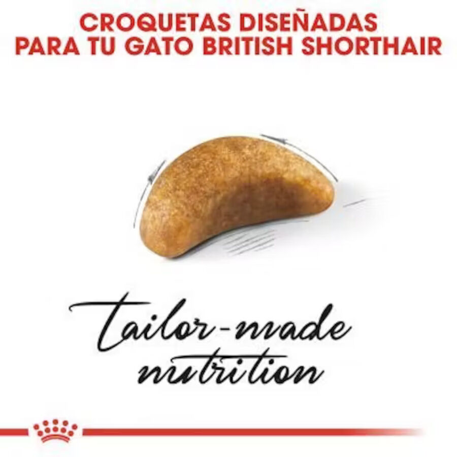 10 kg Royal Canin British Shorthair Kitten pienso para gatos, , large indicador imagen numero 3