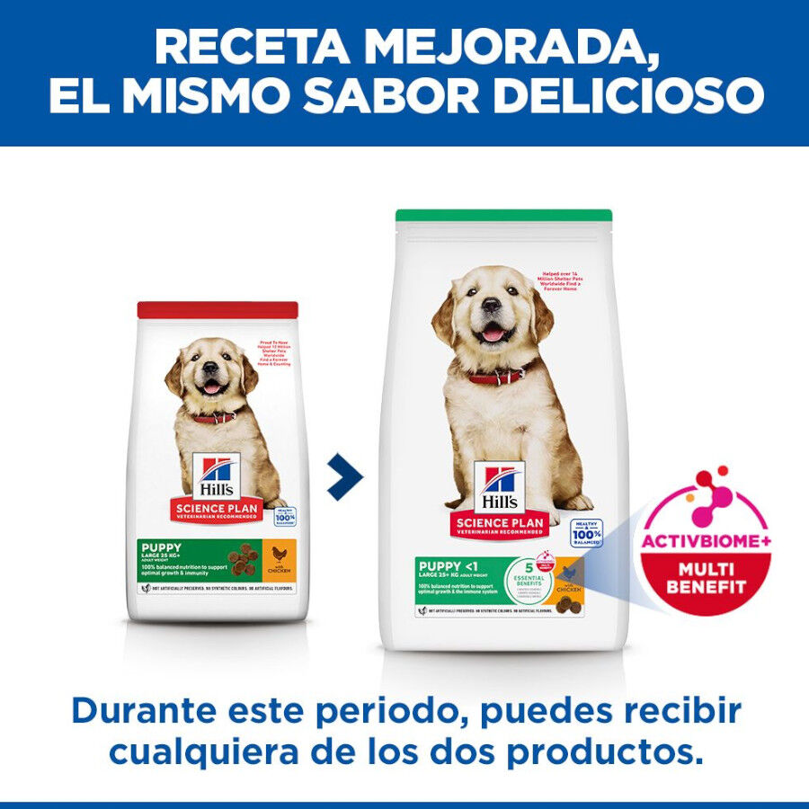 14.5 kg Hill's Science Plan Puppy large Pollo pienso para perros, , large indicador imagen numero 3