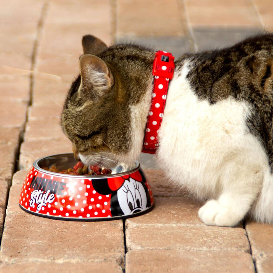 Disney Minnie Mouse Comedero para perros, , large Imagen numero 3
