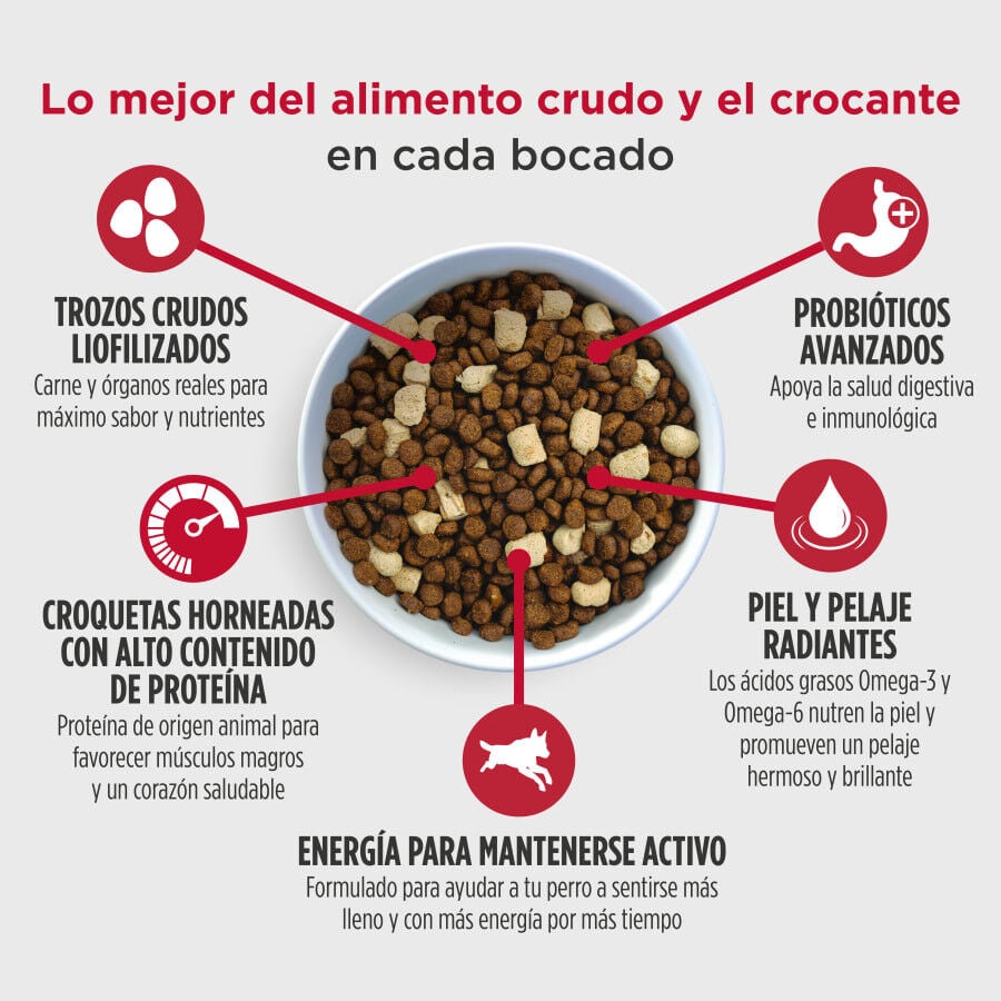4.5 kg Nulo Raw Medley Salm&oacute;n Avena y Pavo Pienso para cachorros, , large indicador imagen numero 4