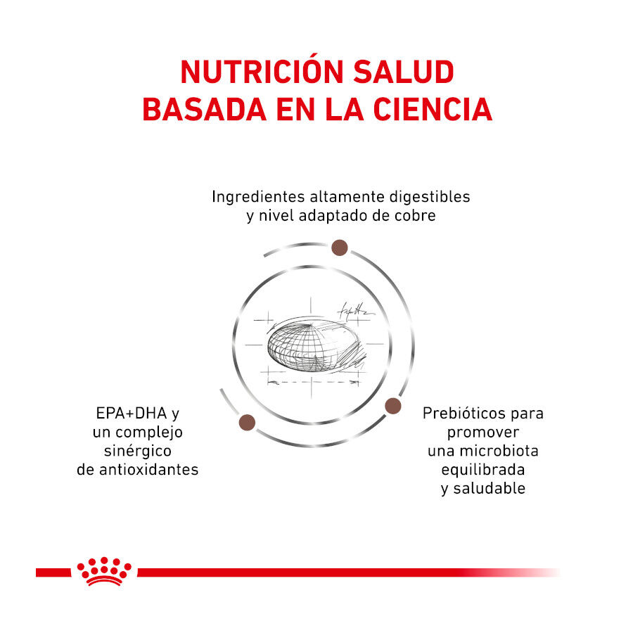 4 kg Royal Canin Veterinary Hepatic pienso para gatos, , large Imagen numero 2