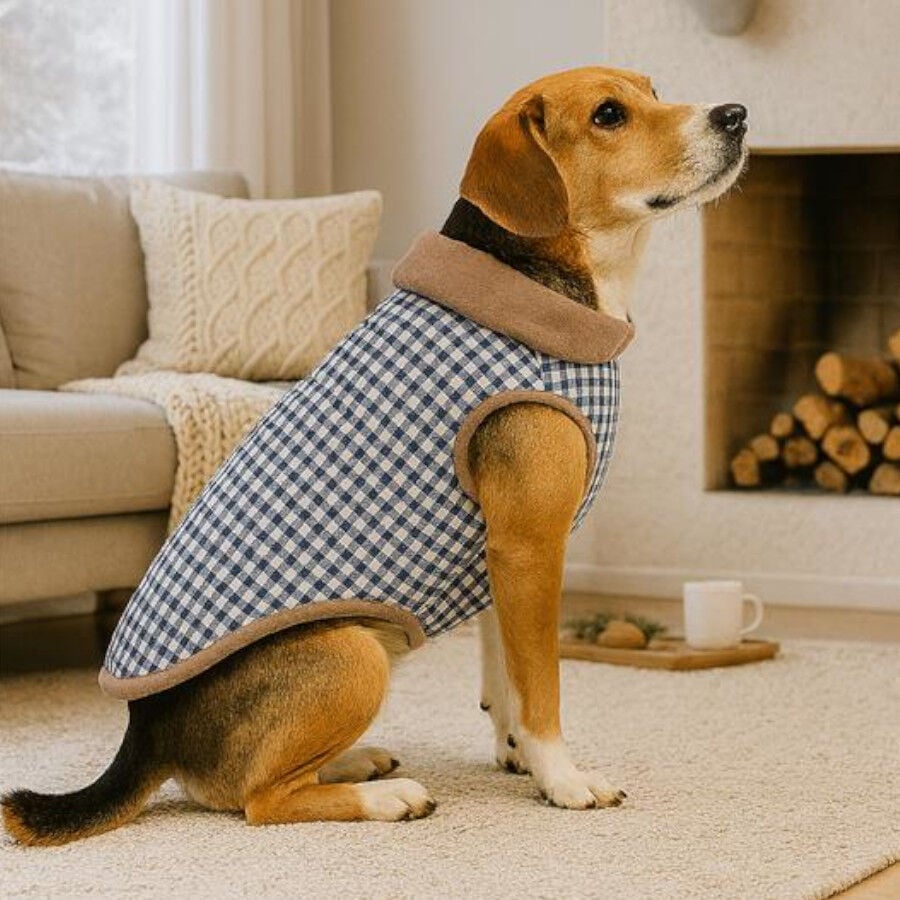 Outech Abrigo Estampado Vichy Azul para perros, , large indicador imagen numero 1