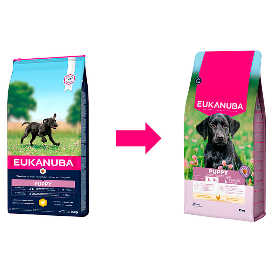 3 kg Eukanuba Puppy Large Pollo pienso para perros, , large indicador imagen numero 2