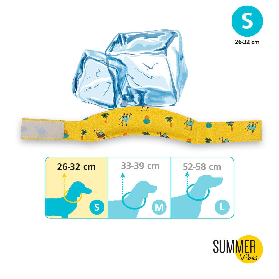 Summer Vibes Bandana refrescante para perros, , large Imagen numero 3
