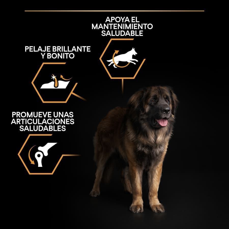 16.5 kg (14 + 2.5 kg &iexcl;gratis!) Pro Plan Large Robust Adult pienso para perros, , large indicador imagen numero 3