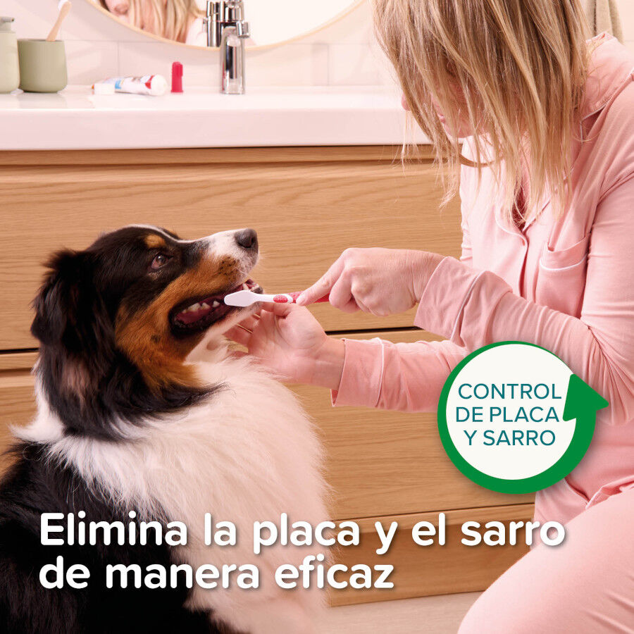 Beaphar Pasta Dental  Menta  Perejil para Perros y Gatos, , large Imagen numero 3