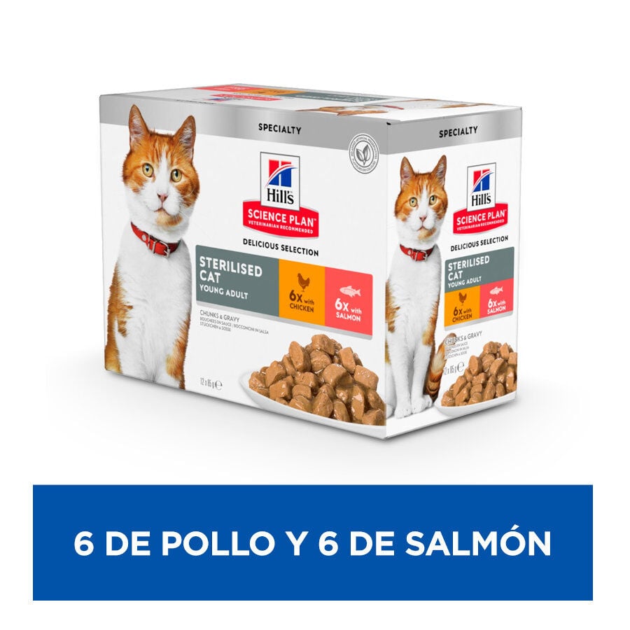 12 sobres x 85 g Hill's Science Plan Sterilised Adult Pollo y Salm&oacute;n en Salsa sobre para gatos, , large indicador imagen numero 2