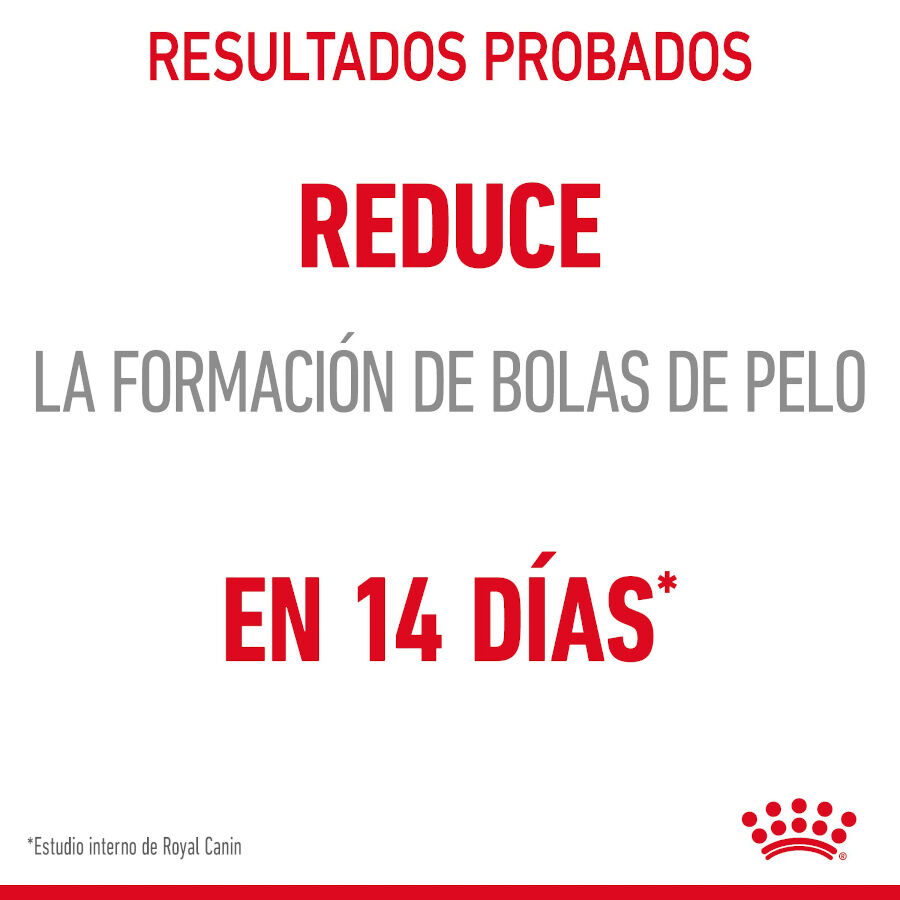 85 g Royal Canin Hairball Care Sobre en Gelatina para gatos, , large Imagen numero 5