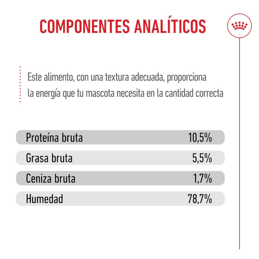 195 g Royal Canin Mother & Baby mousse latas para gatos, , large indicador imagen numero 9