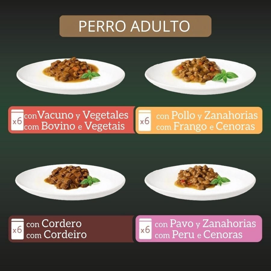 24 x 100 g Milord Adult Receta estilo casero en gelatina Sobres para perros - Multipack, , large indicador imagen numero 3