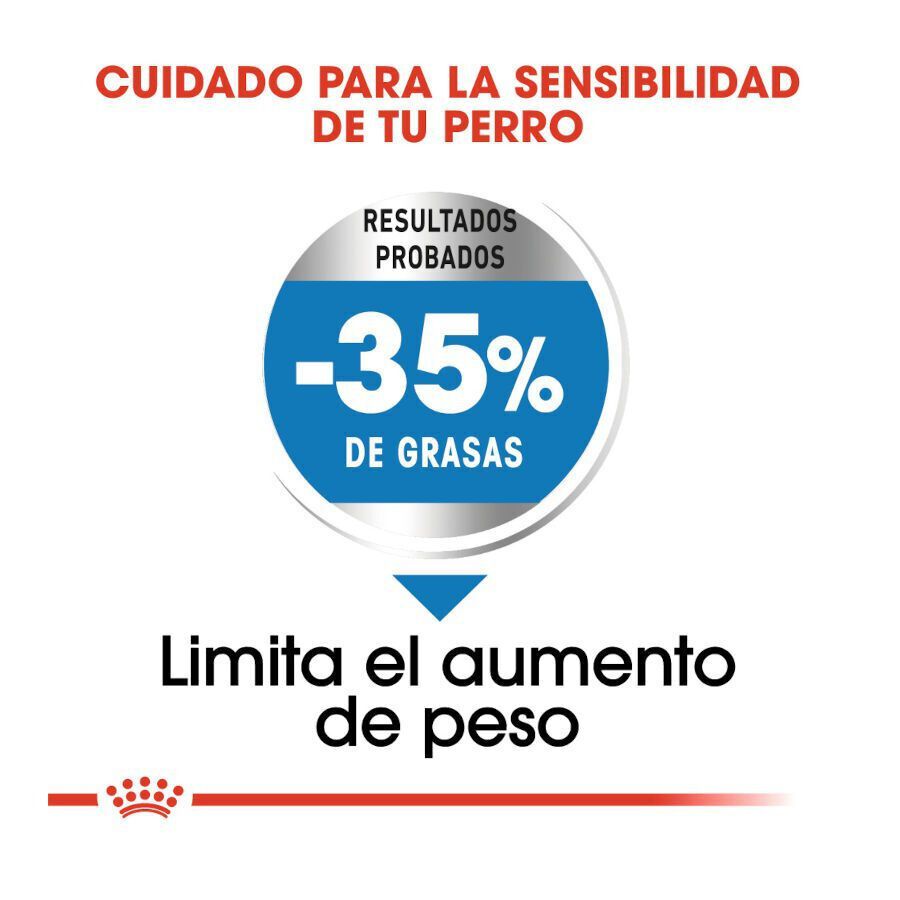 3 kg Royal Canin Light Weight Care Maxi pienso para perros, , large Imagen numero 6