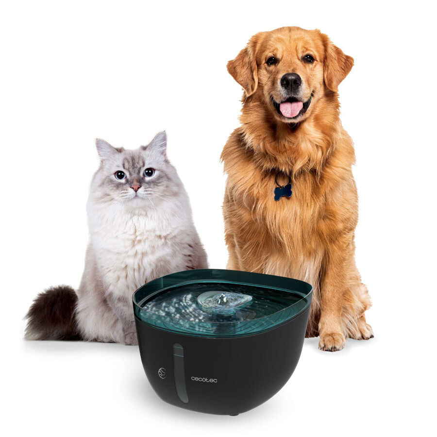 Cecotec Pumba 2200 Refresh Bebedero Autom&aacute;tico para perros y gatos, , large Imagen numero 4