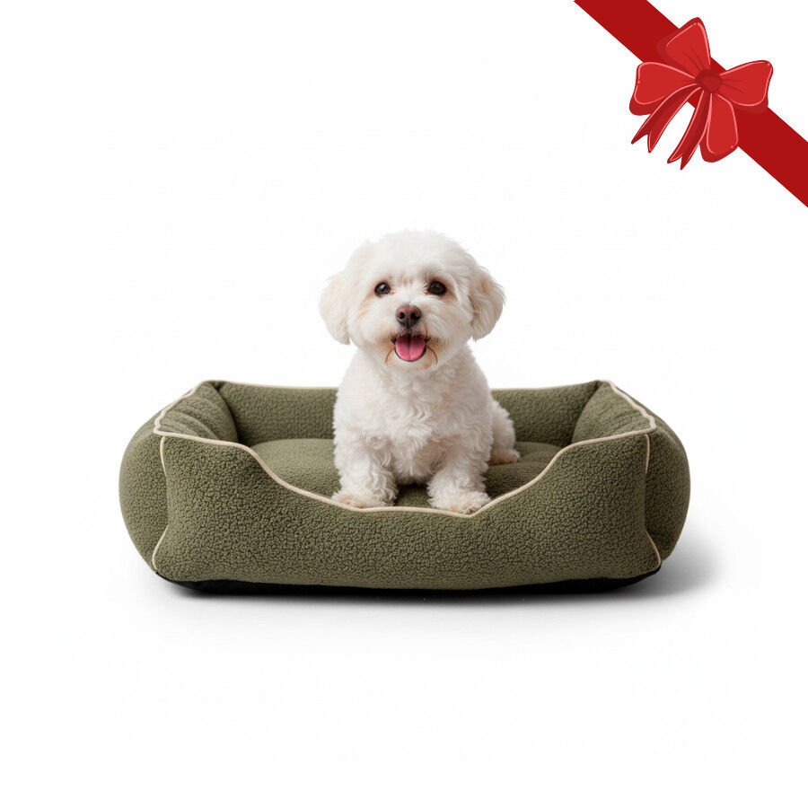 Wonder Christmas Cama Navide&ntilde;a Marr&oacute;n para perros, , large indicador imagen numero 1