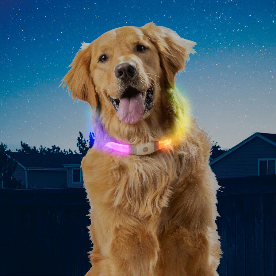 Nite Ize NiteHowl Max Collar de Seguridad LED para perros, , large indicador imagen numero 2