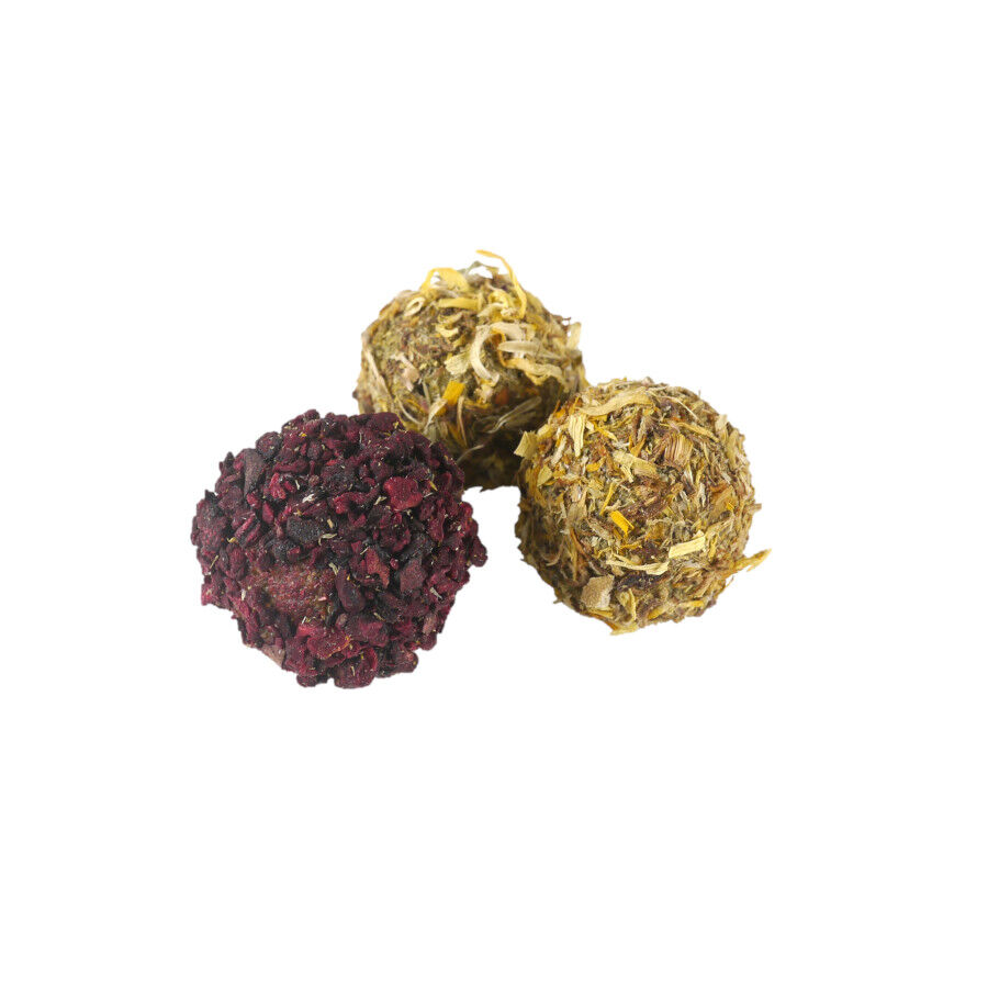 Rosewood Bolitas de Snacks Navide&ntilde;os para Roedores, , large indicador imagen numero 3