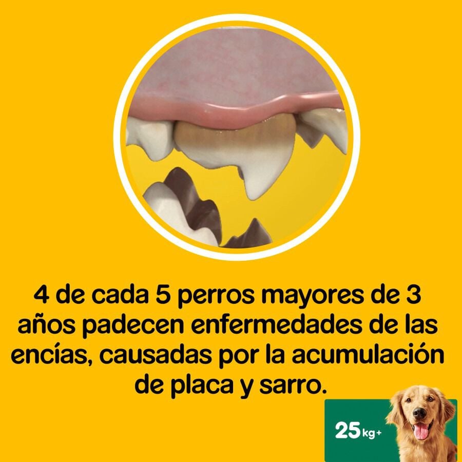 7 barritas Pedigree Dentastix Fresh Snacks Dentales para Perros Grandes, , large indicador imagen numero 6