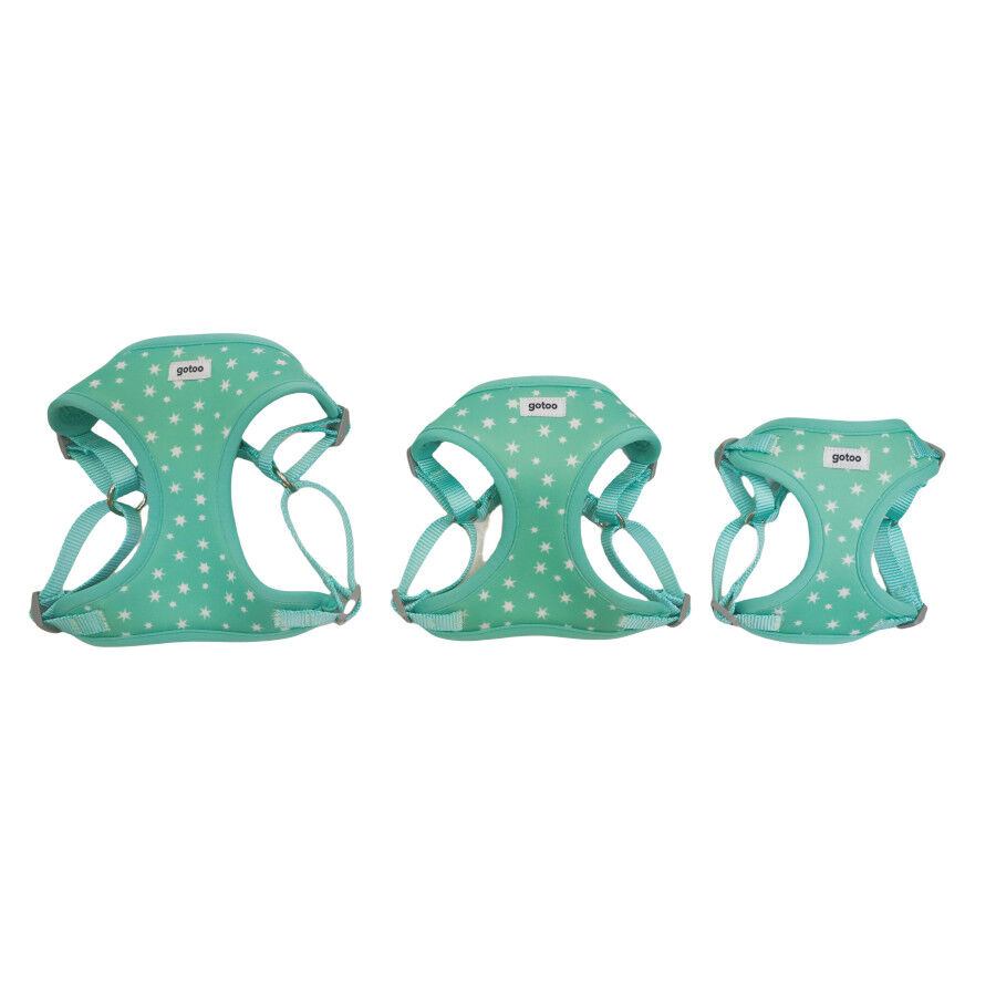 Gotoo Arn&eacute;s ajustable estampado estrellas verde para cachorros, , large indicador imagen numero 7