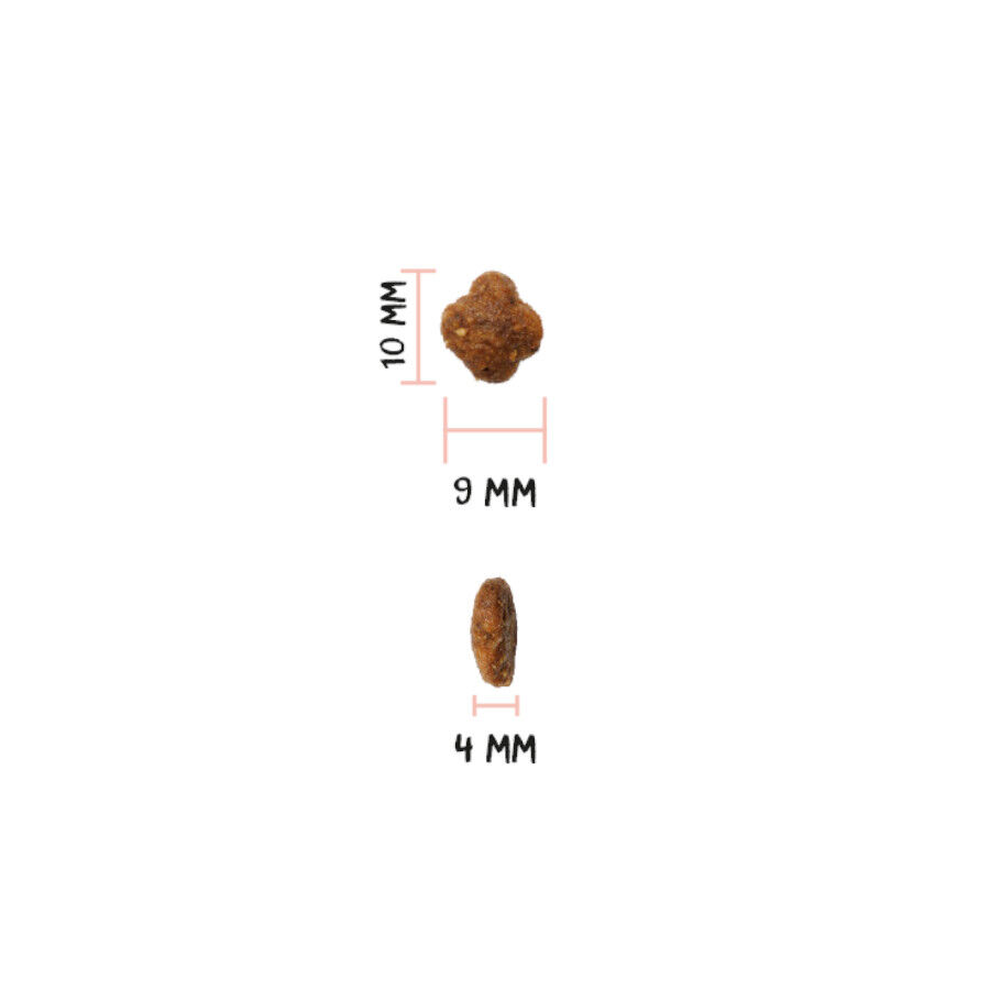 Ownat Ultra Mature Pienso Pollo y Pavo para gatos, , large Imagen numero 3