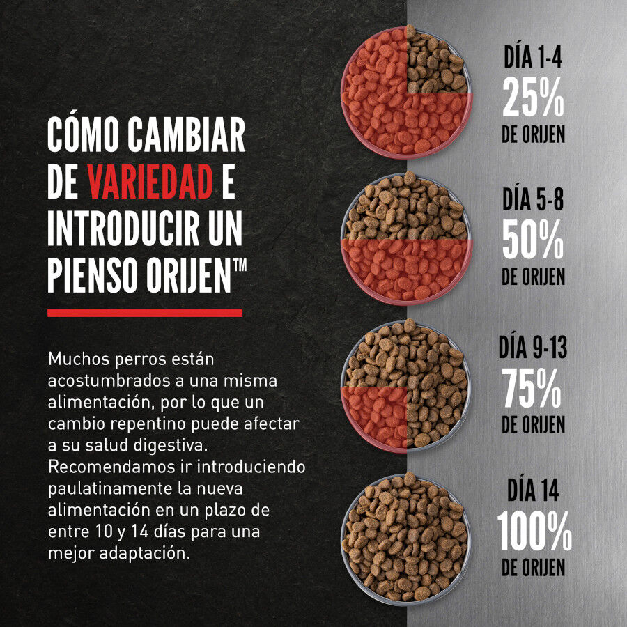 Orijen Large Breed Adult Pienso para perros, , large Imagen numero 5