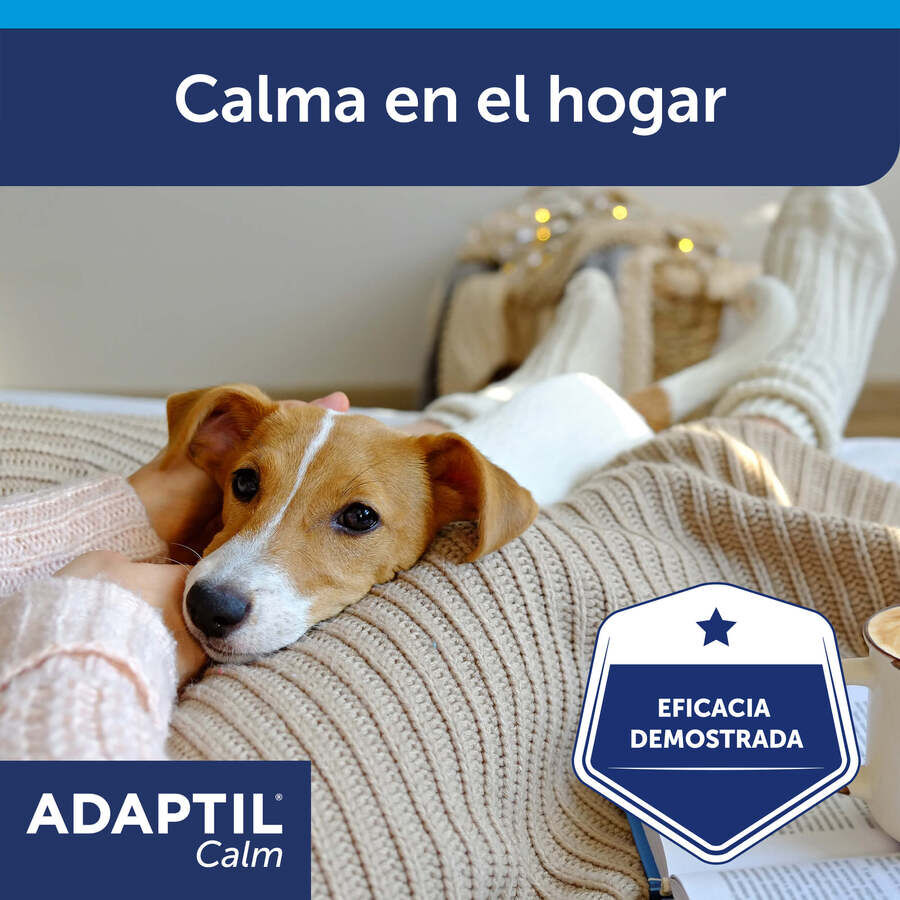 Adaptil Difusor + Recambio Tranquilizante para perros, , large indicador imagen numero 7