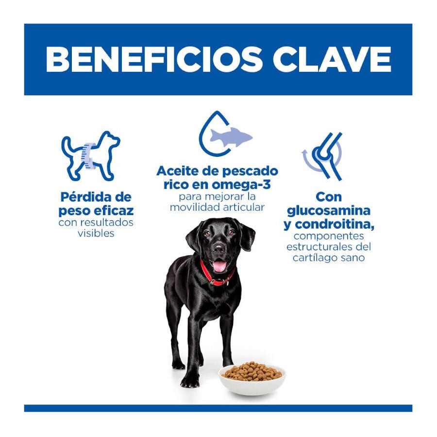 12 kg Hill's Science Plan Perfect weight y Active Mobility pollo pienso para perros grandes, , large indicador imagen numero 3