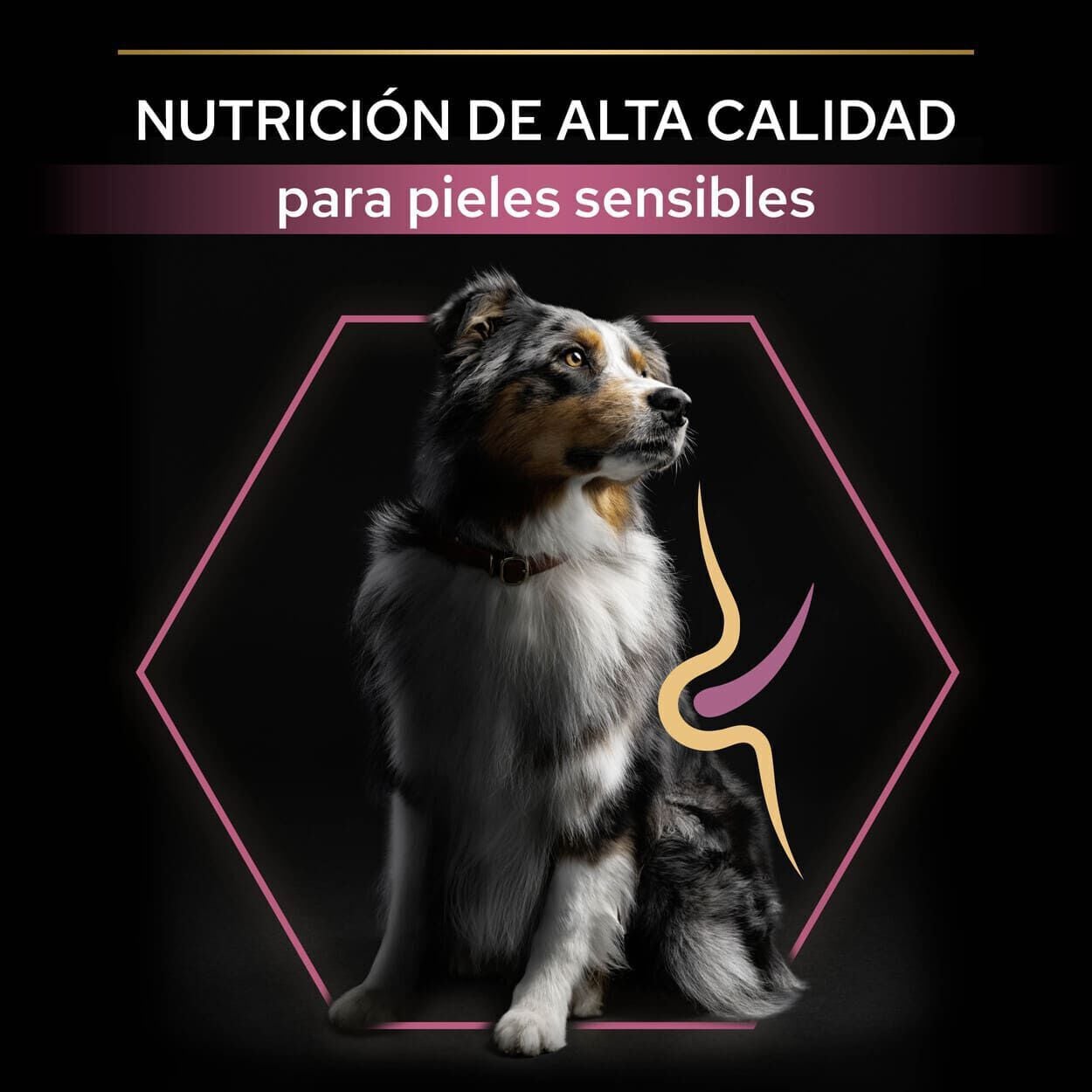 16.5 kg (14 + 2.5 kg &iexcl;gratis!) Pro Plan Adult Medium Sensitive Skin Salm&oacute;n pienso para perros, , large indicador imagen numero 8