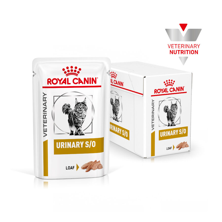 12 sobres x 85 g Royal Canin Adult Veterinary Urinary mousse sobre para gatos, , large indicador imagen numero 2