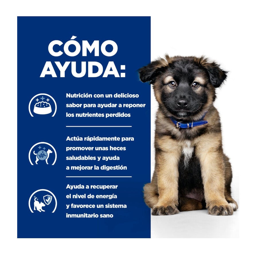 12 kg Hill's Prescription Diet I/D Digestive Care Puppy Pienso Seco Pollo para perros, , large Imagen numero 4