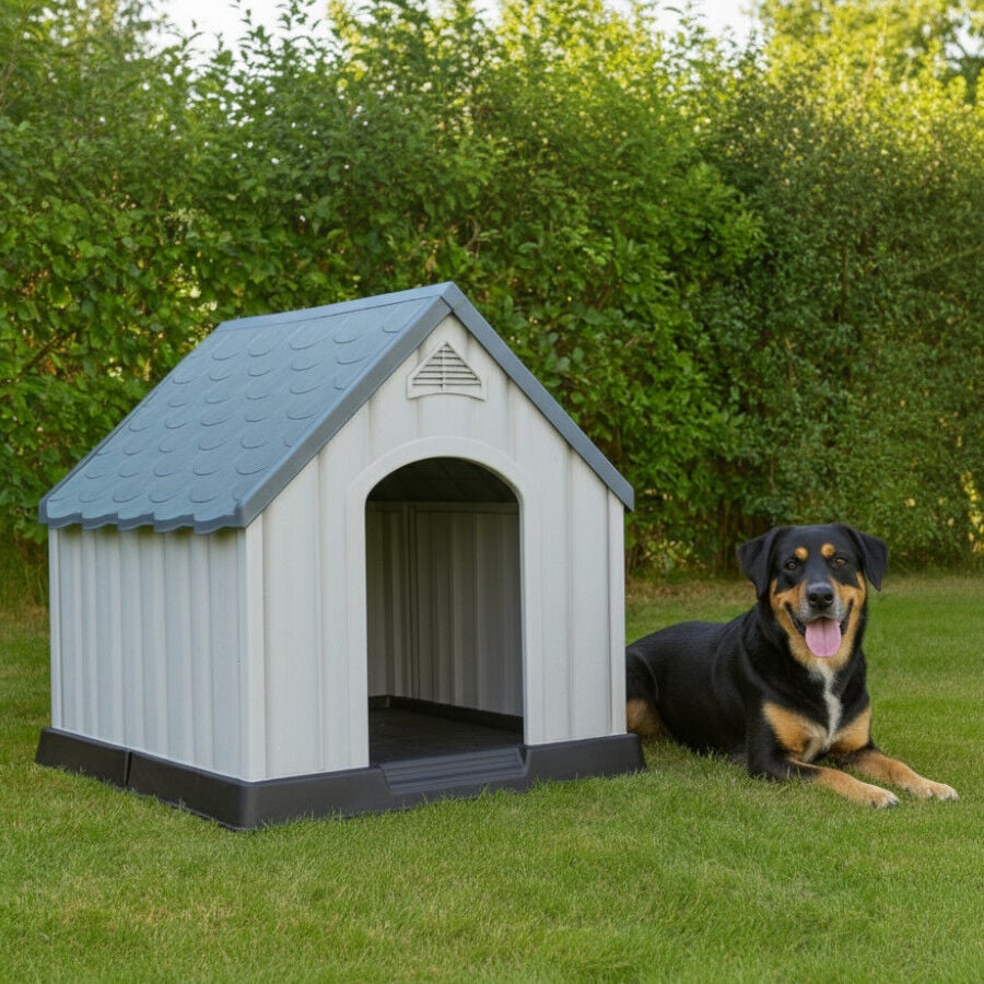TK-Pet Caseta de Pl&aacute;stico 60% reciclado para perros, , large Imagen numero 3