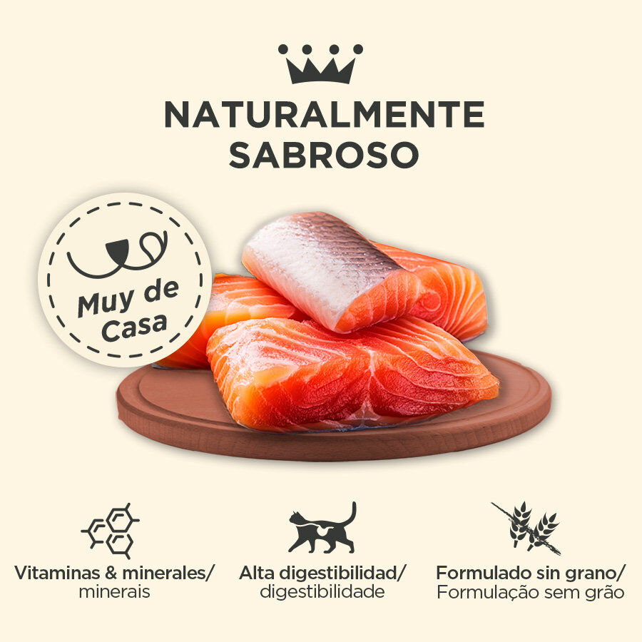 400 g Criadores Adulto con Salm&oacute;n lata para gatos, , large indicador imagen numero 3