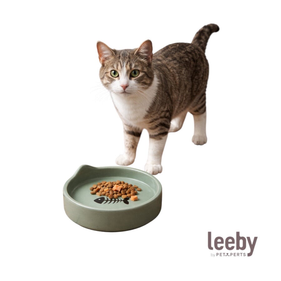 Leeby Comedero de Cer&aacute;mica Azul con Orejitas para gatos
