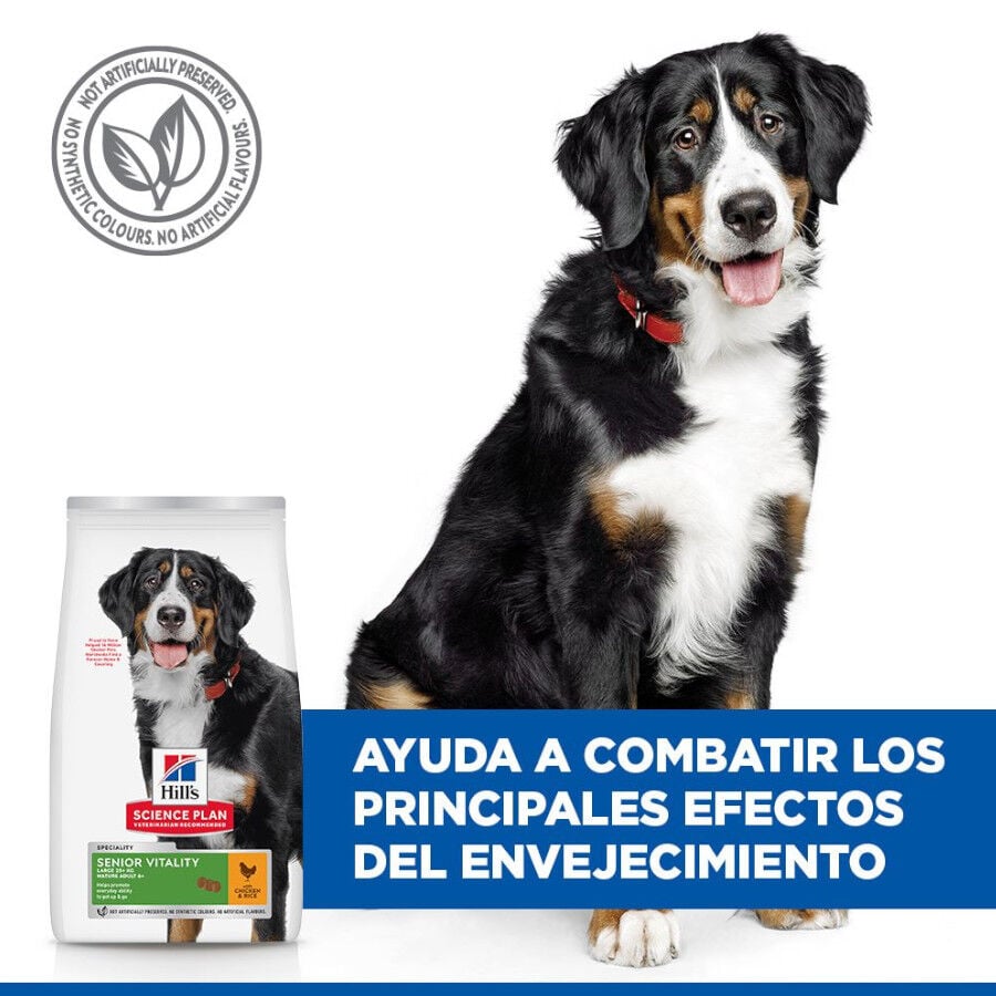 14 kg Hill's Science Plan Youthful vitality Large pienso para perros, , large Imagen numero 6