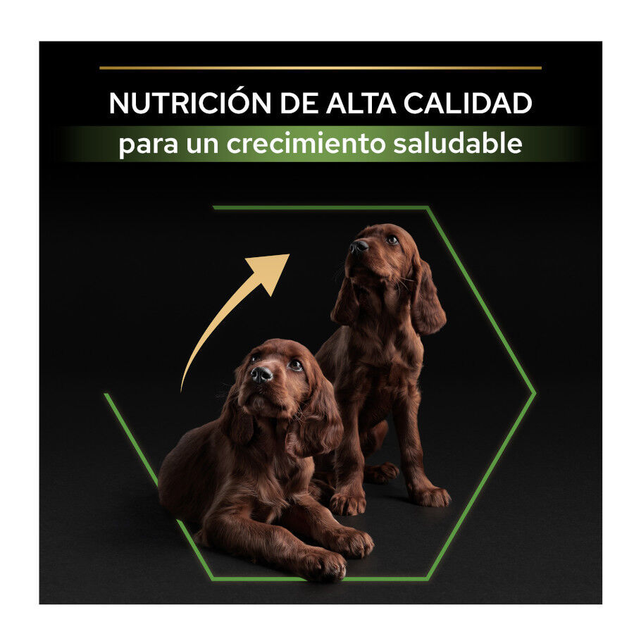 12 kg Pro Plan Puppy Large Athletic Pollo pienso para perros, , large indicador imagen numero 8
