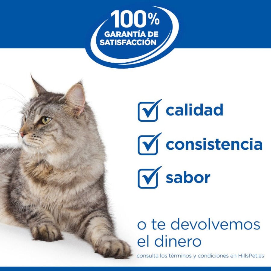1.5 kg Hill's Science Plan Youthful Vitality Pollo pienso para gatos, , large indicador imagen numero 8