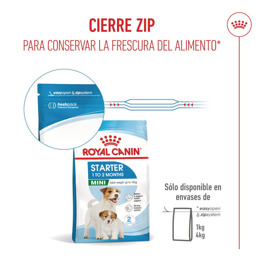 4 kg Royal Canin Starter MotheryBaby Mini pienso para perros, , large Imagen numero 11