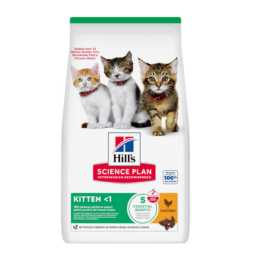 7 kg Hill's Science Plan Kitten Pollo pienso para gatos, , large Imagen numero 1