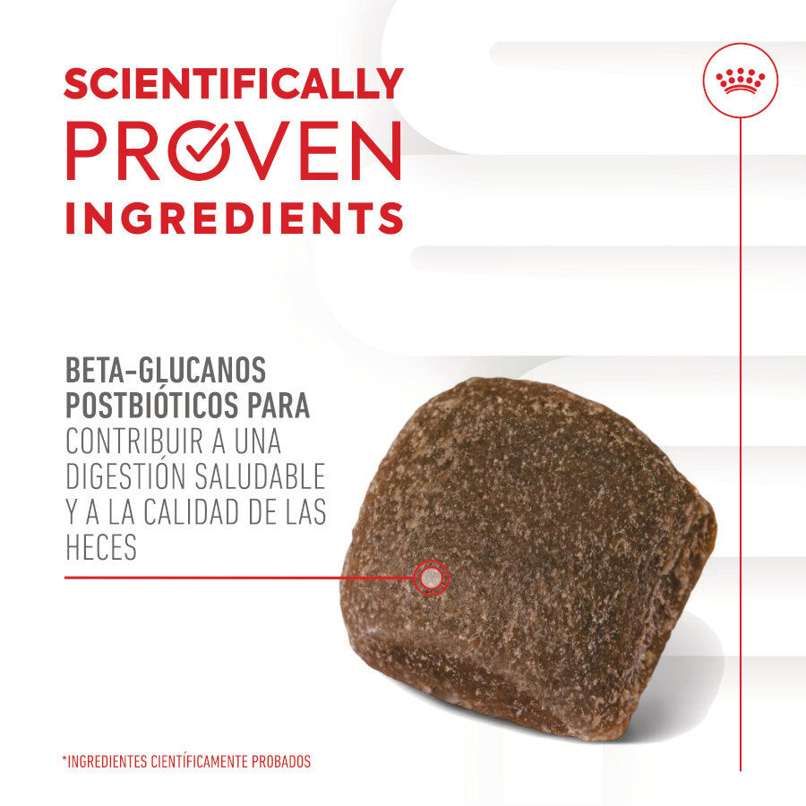 160 g Royal Canin Digestion Chews Suplemento Nutricional para perros con sensibilidad, , large indicador imagen numero 6