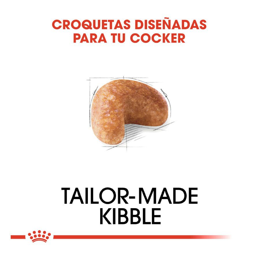 12 kg Royal Canin Adult Cocker pienso para perros, , large indicador imagen numero 5
