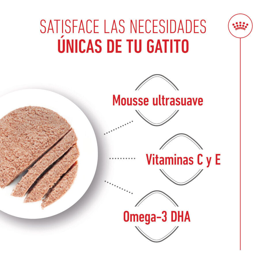 195 g Royal Canin Mother & Baby mousse latas para gatos, , large Imagen numero 4