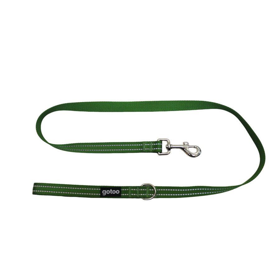 Gotoo Correa de nylon reflectante verde para perros, , large Imagen numero 1